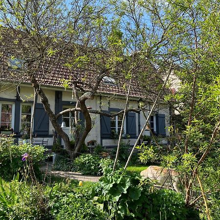 Chambre Cosy Bonnieres Zewnętrze zdjęcie