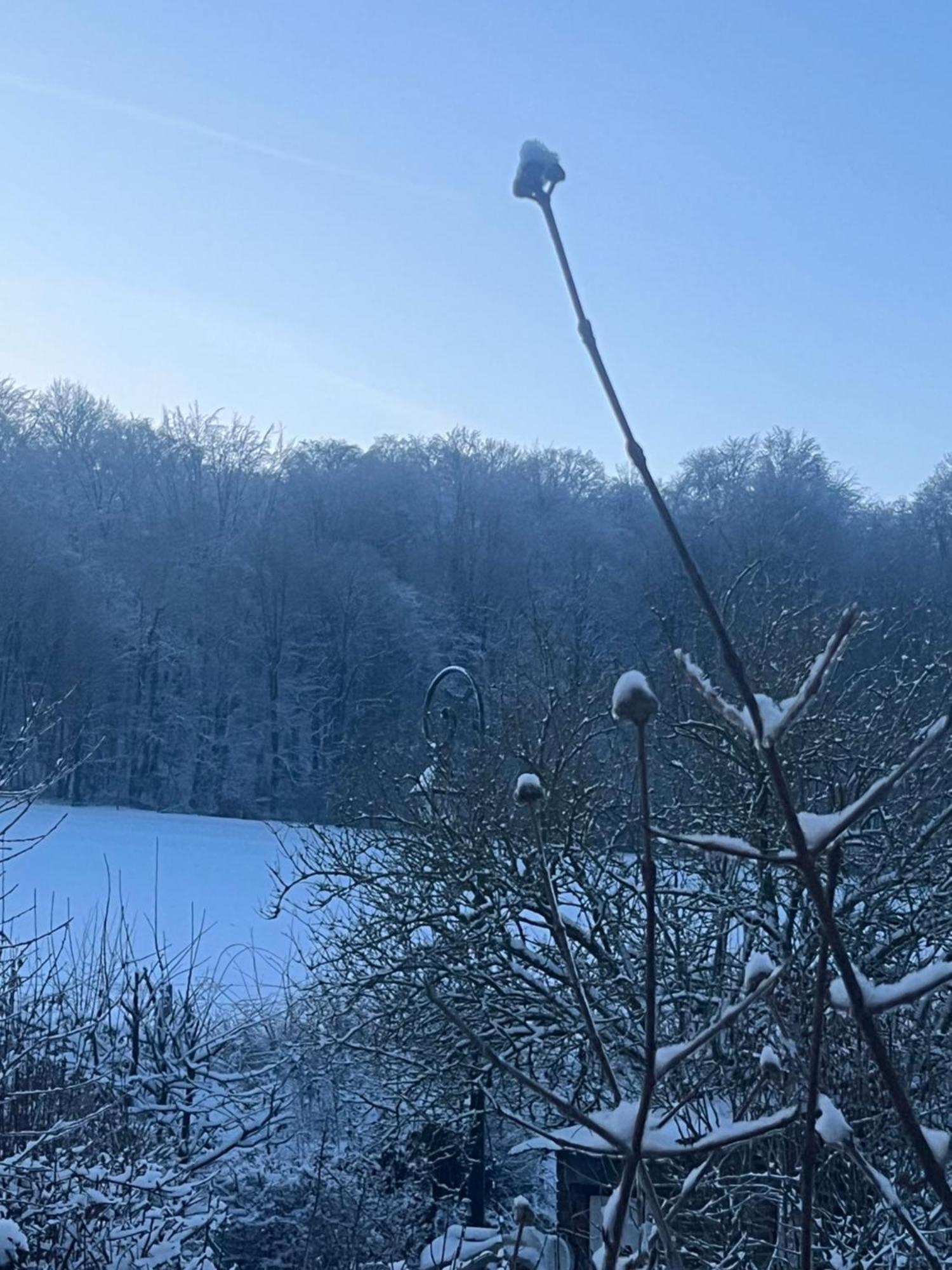 Chambre Cosy Bonnieres Zewnętrze zdjęcie