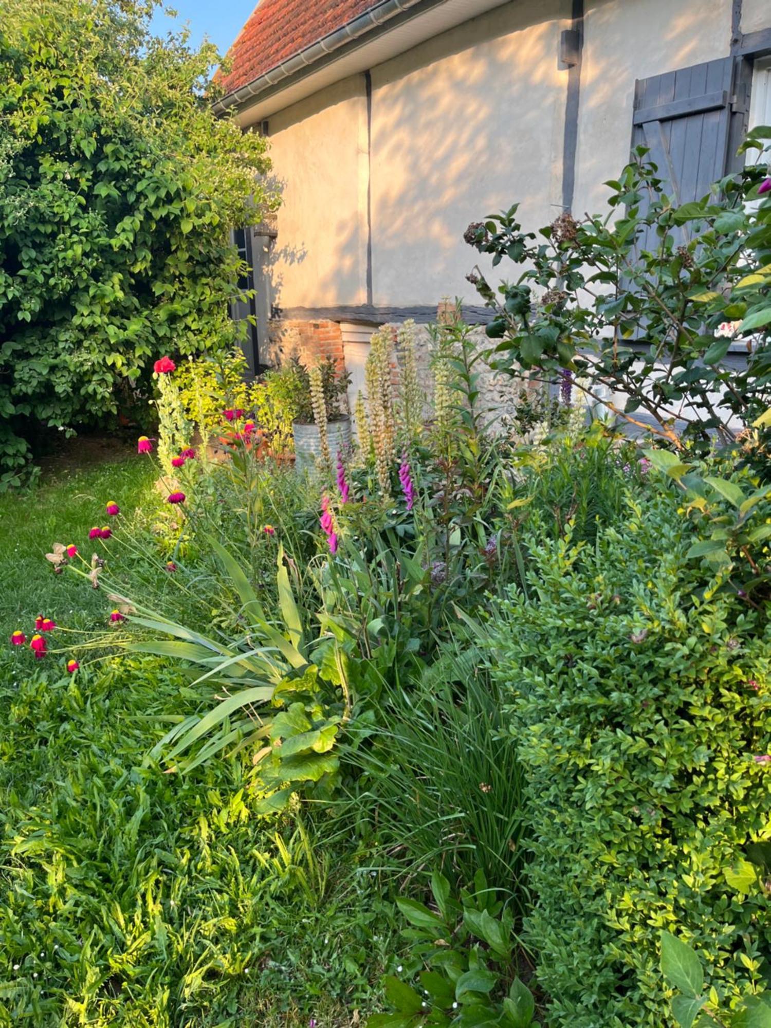 Chambre Cosy Bonnieres Zewnętrze zdjęcie